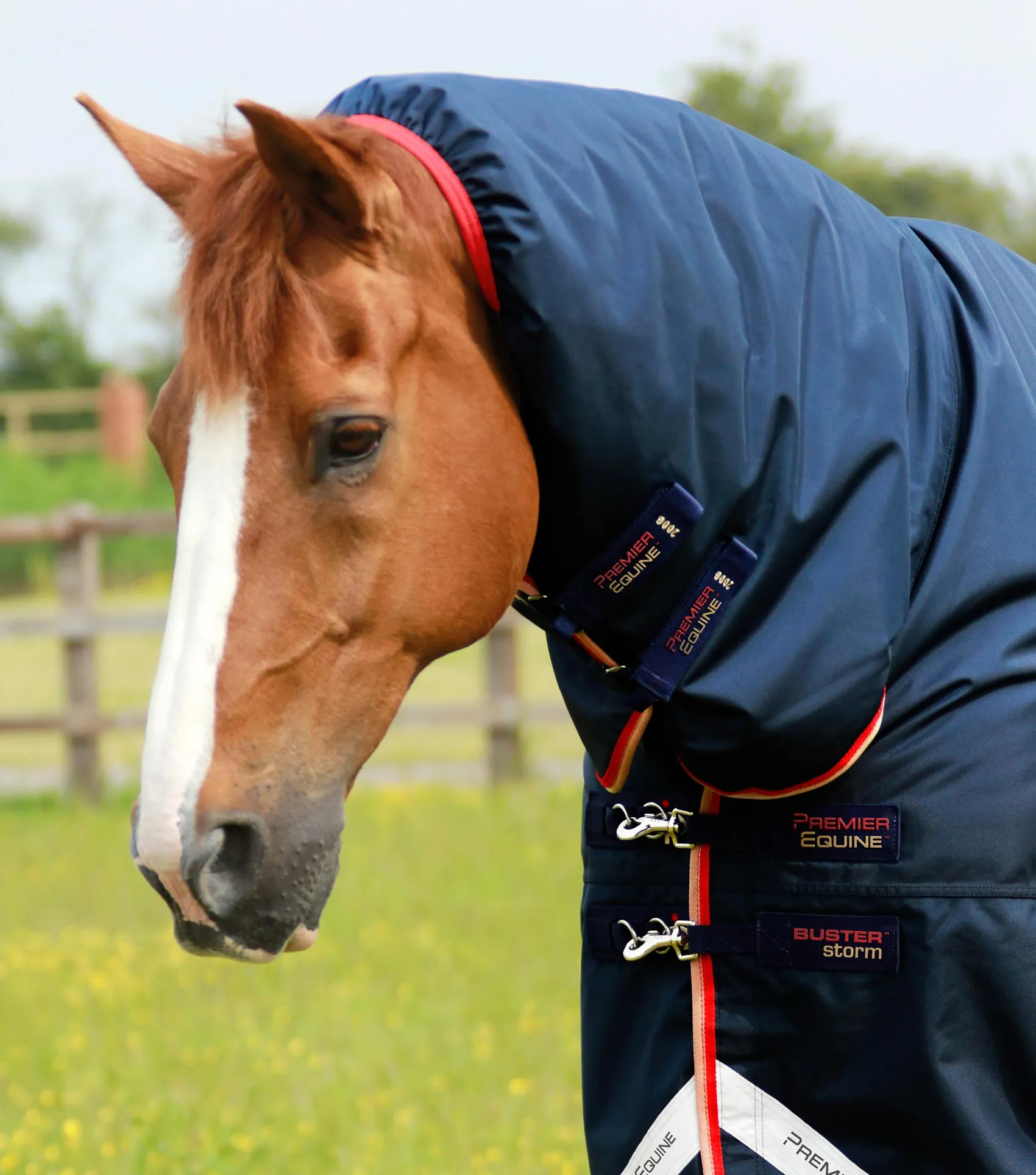 Buster Storm 200g Combo Turnout Rug with Snug-Fit Neck Navy