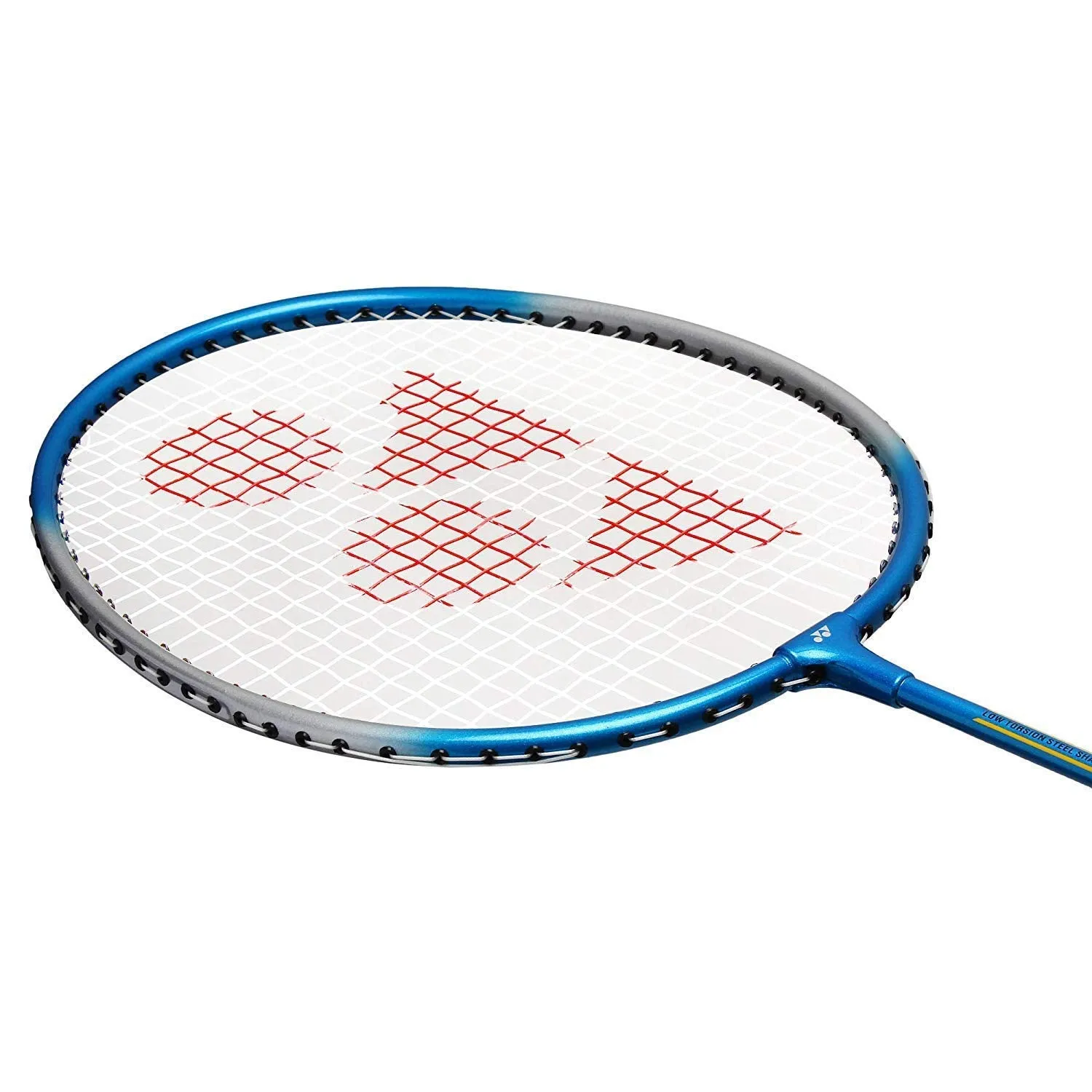 GR 303 Aluminium Blend Badminton Racquet with Full Cover (Blue/Silver) - Set of 2