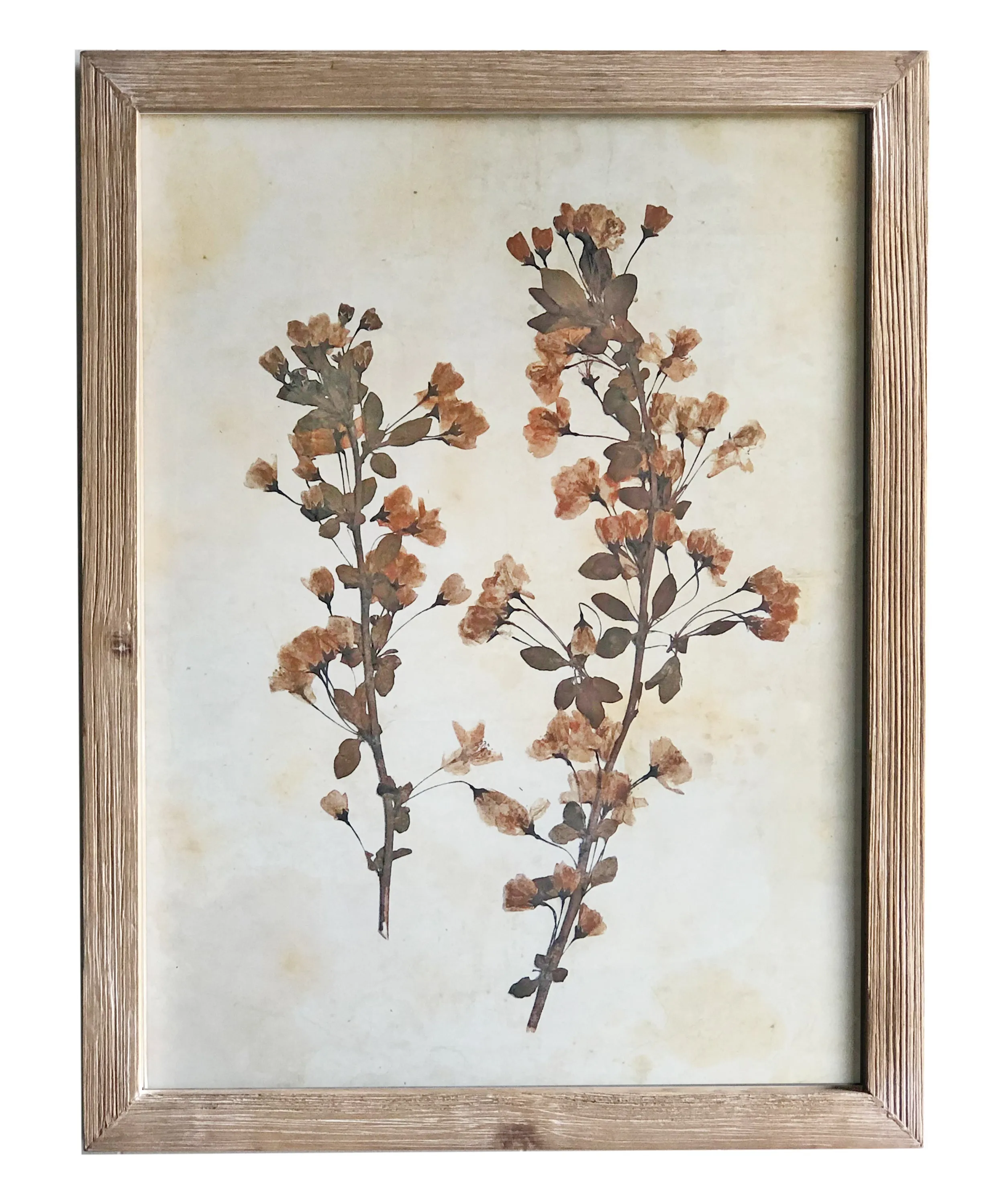 Pressed Wildflower Botanical Prints