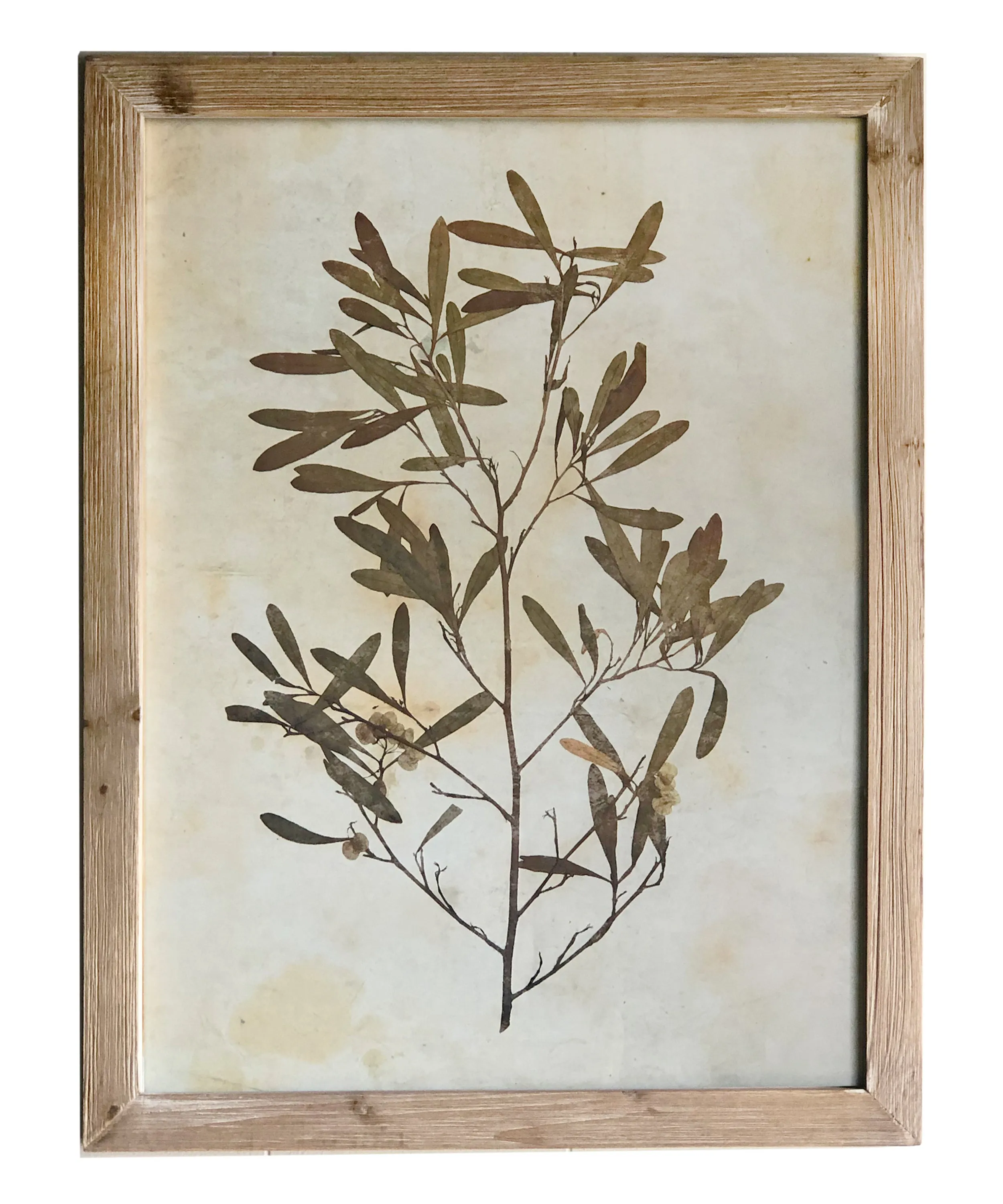 Pressed Wildflower Botanical Prints