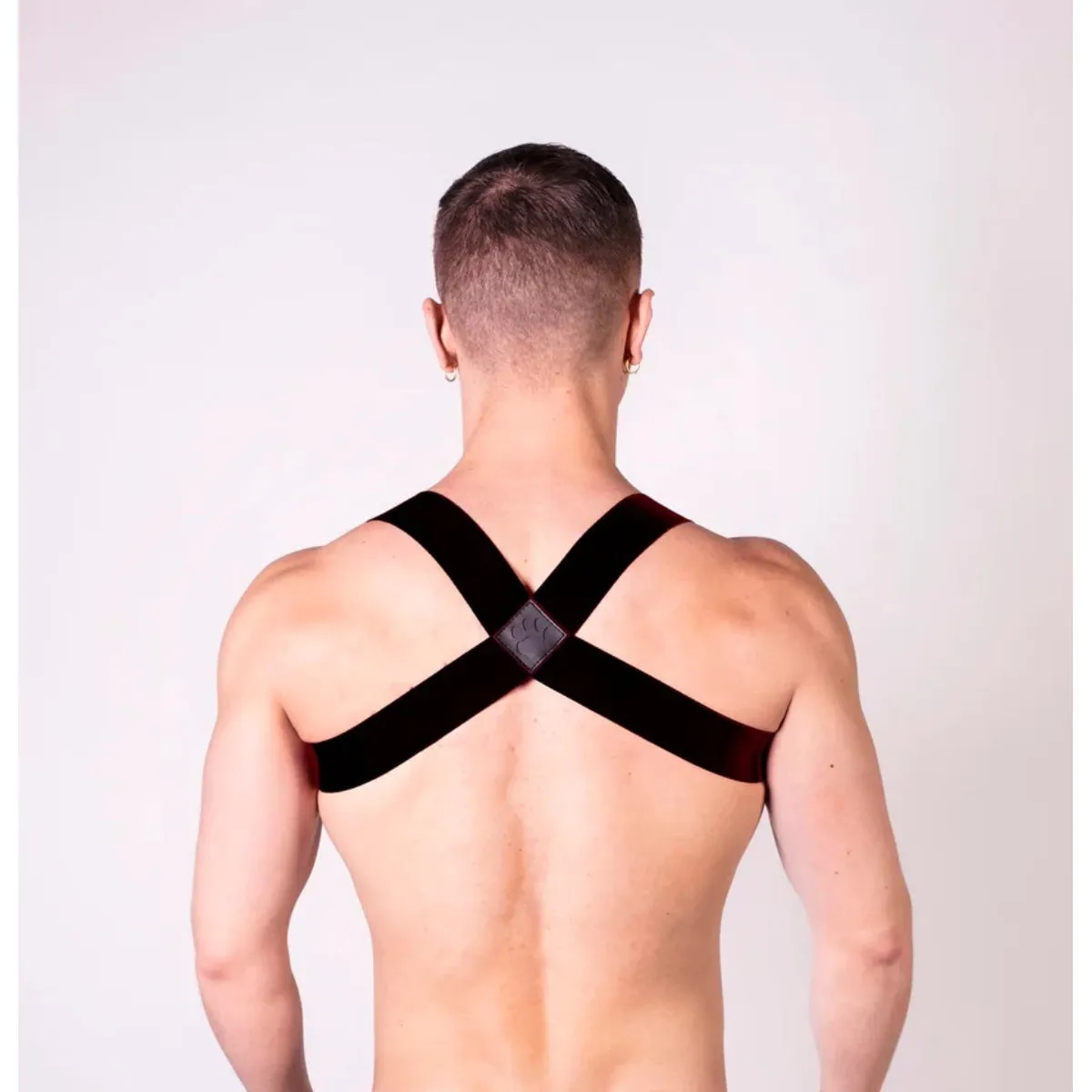 Prowler RED Sports Harness Lite Black