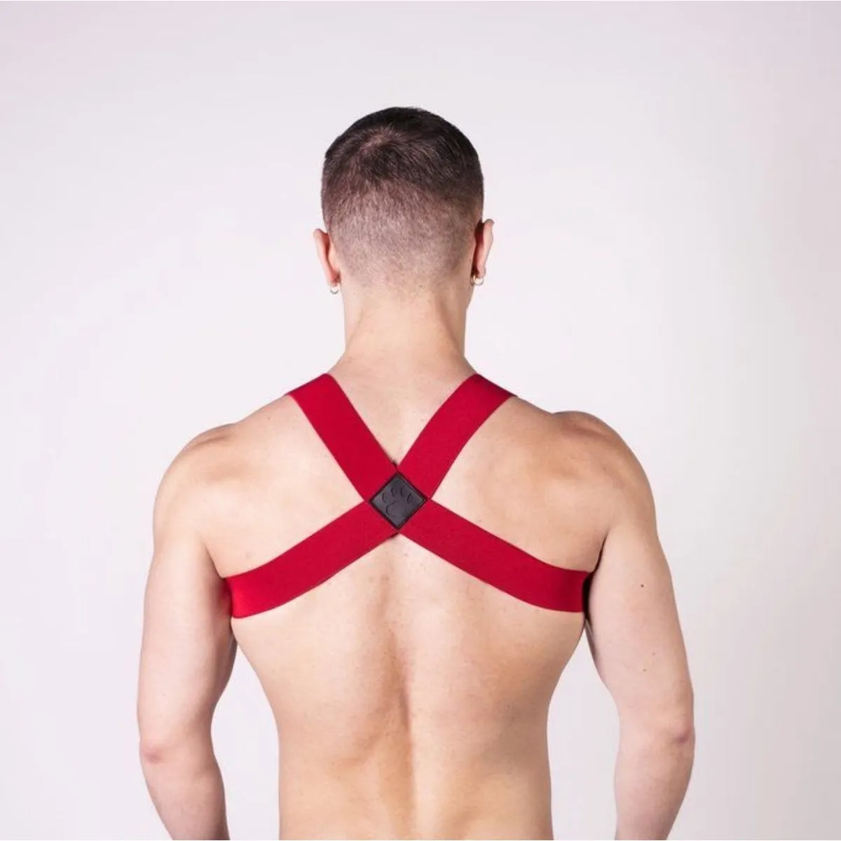 Prowler RED Sports Harness Red