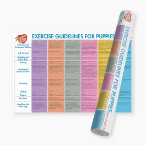 Puppy Culture Age Appropriate Exercise Poster