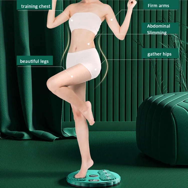 Rotating Waist Disc Twist Machine with Electronic Counter Magnetic Massage for Body Shaping, Color: White   Green