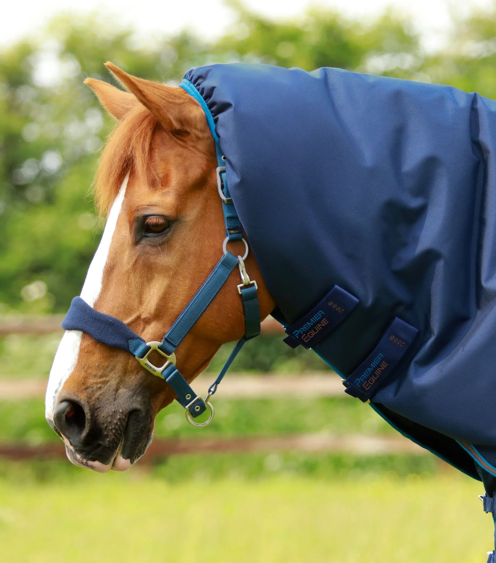 Titan 200g Turnout Rug with Snug-Fit Neck Cover Navy